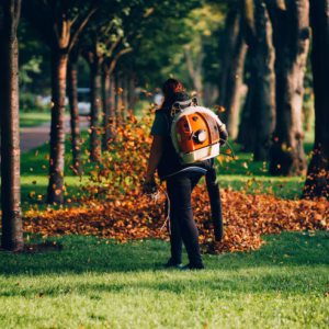 Seasonal Landscape & Lawn Evaluation